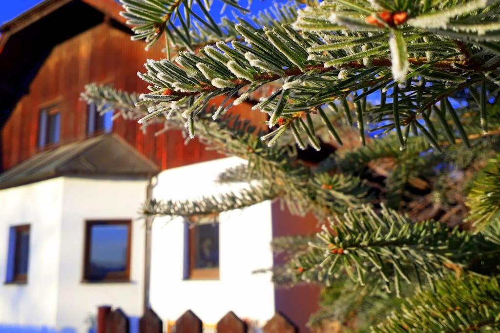 "Stone'S Throw" Krumlov 5 Min By Car, Lipno 15 Min By Car, 2 Bdrooms,Playroom Kajov Ngoại thất bức ảnh